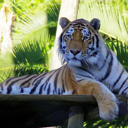 Discovery Benfica Гостьовий будинок Лісабон