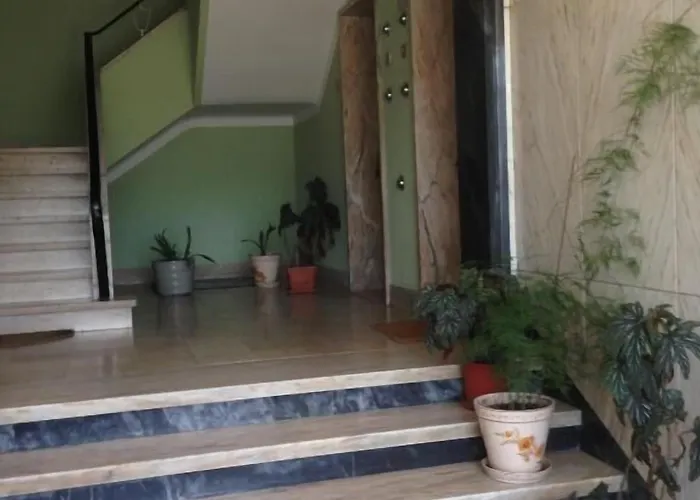 ゲストハウス Discovery Benfica